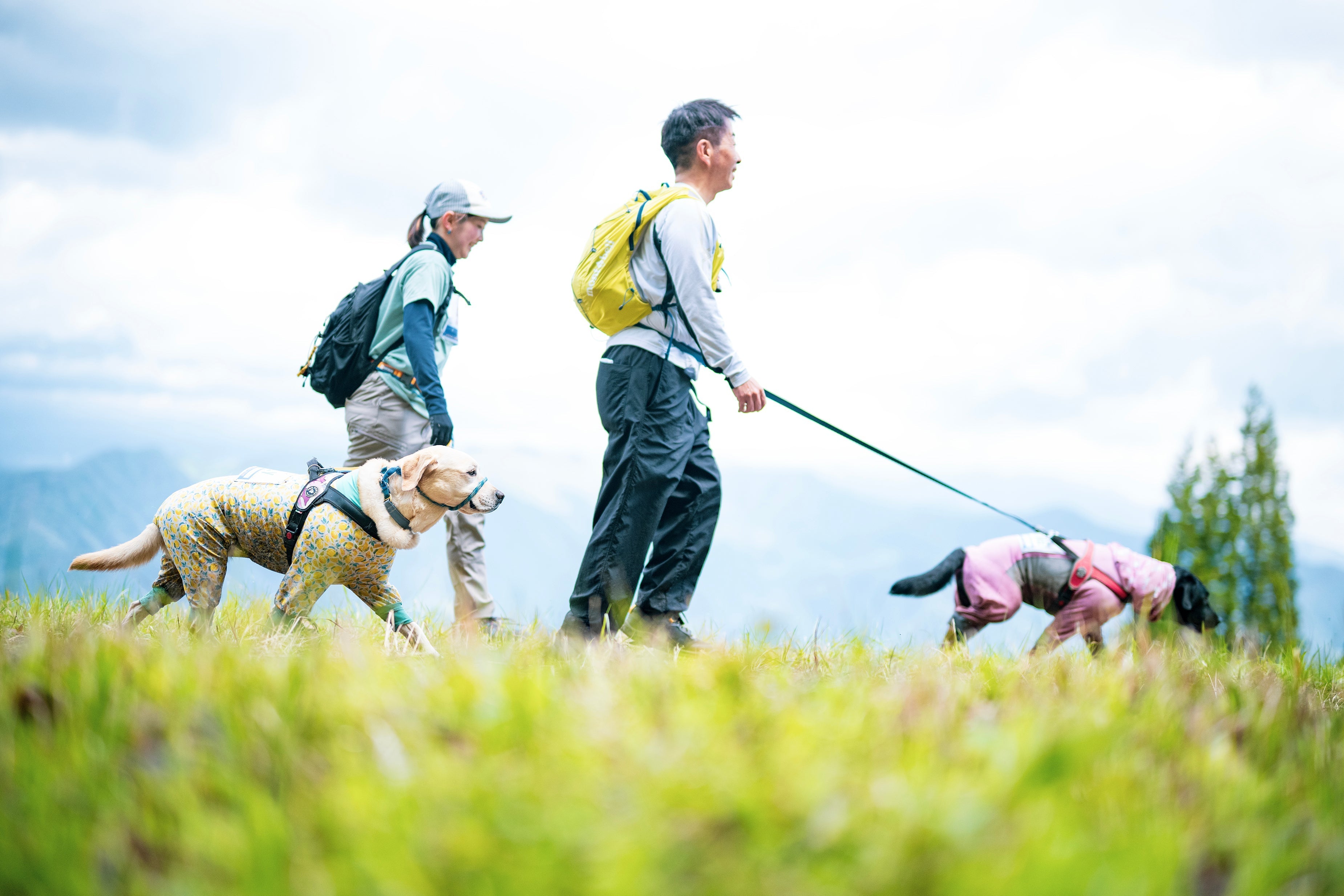 みなかみ人犬同伴TrailRace2026レポート